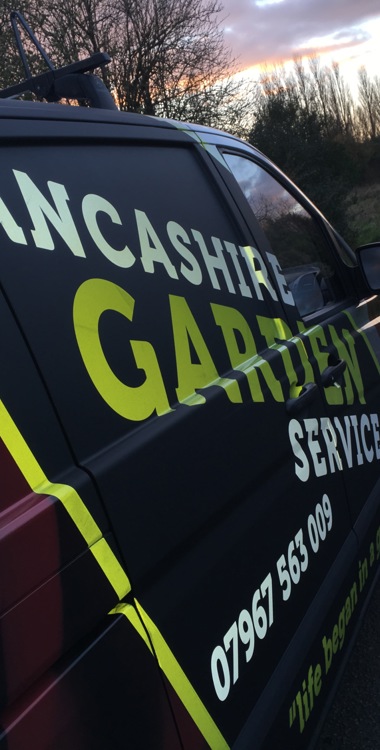 Reflective Van Graphics