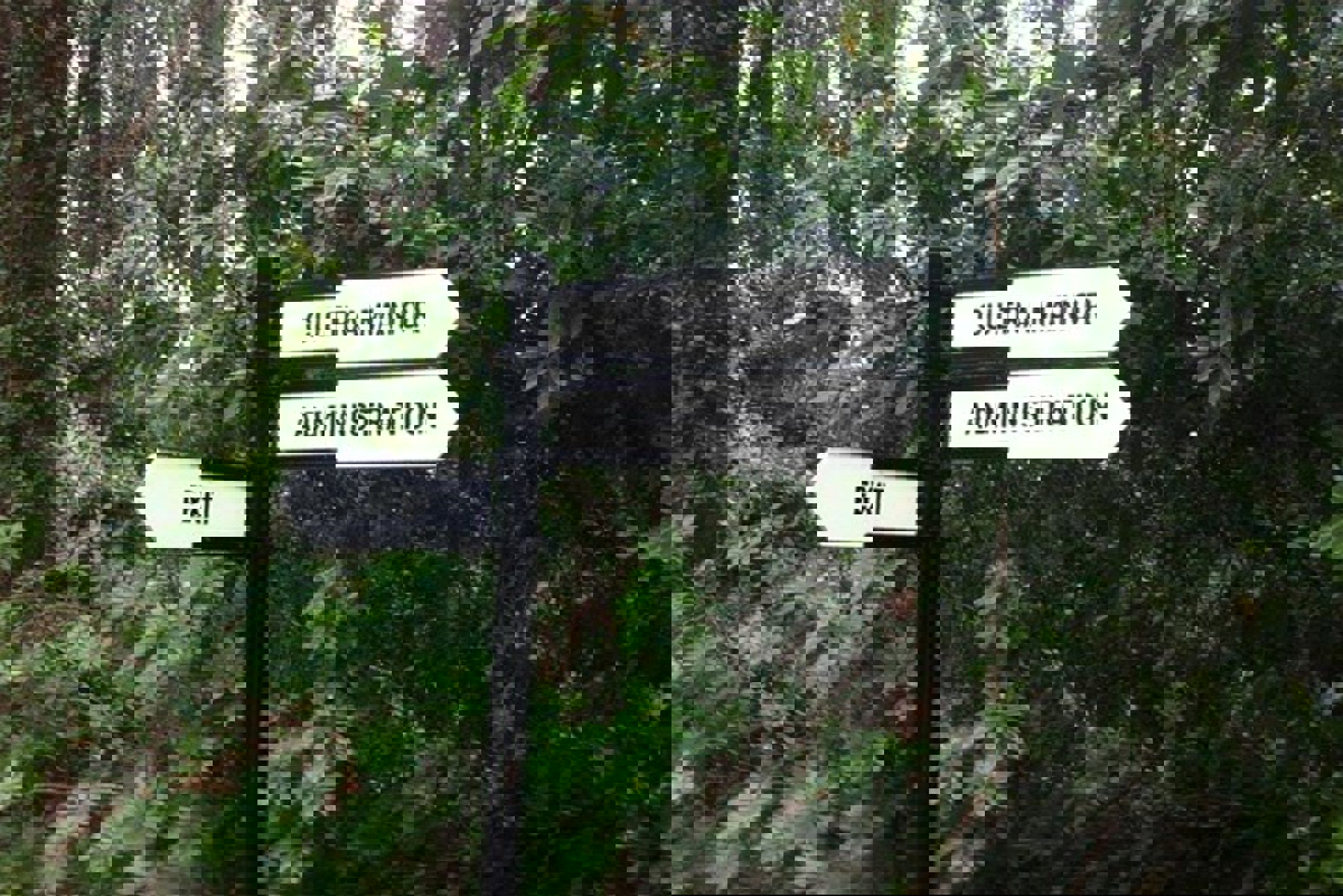 Finger Posts Directional Signs