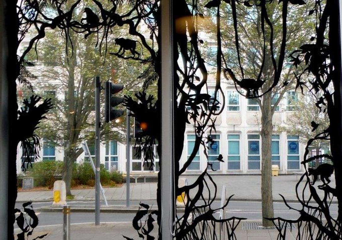 Window Graphics in Exeter - Signs Express