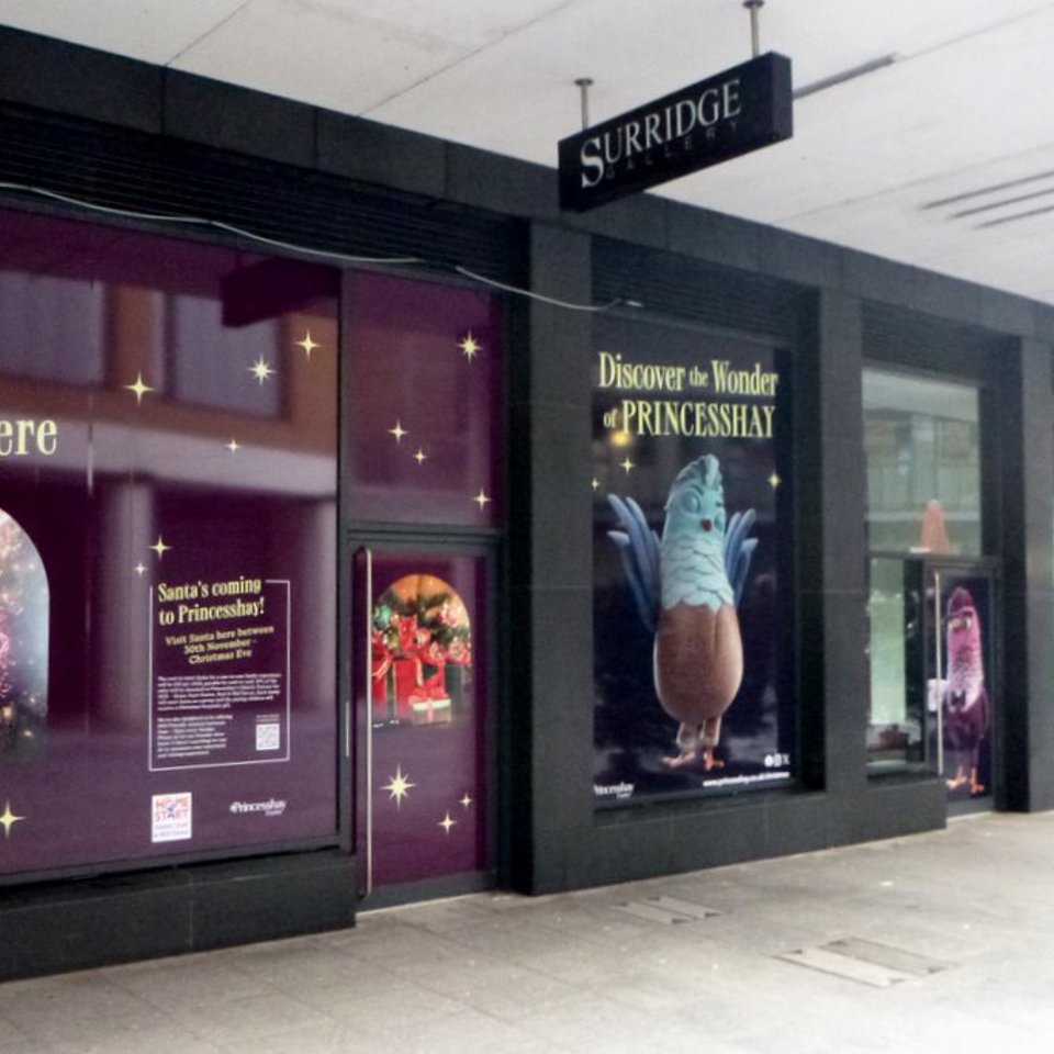 Full Colour Digital Printed Themed Window Graphics