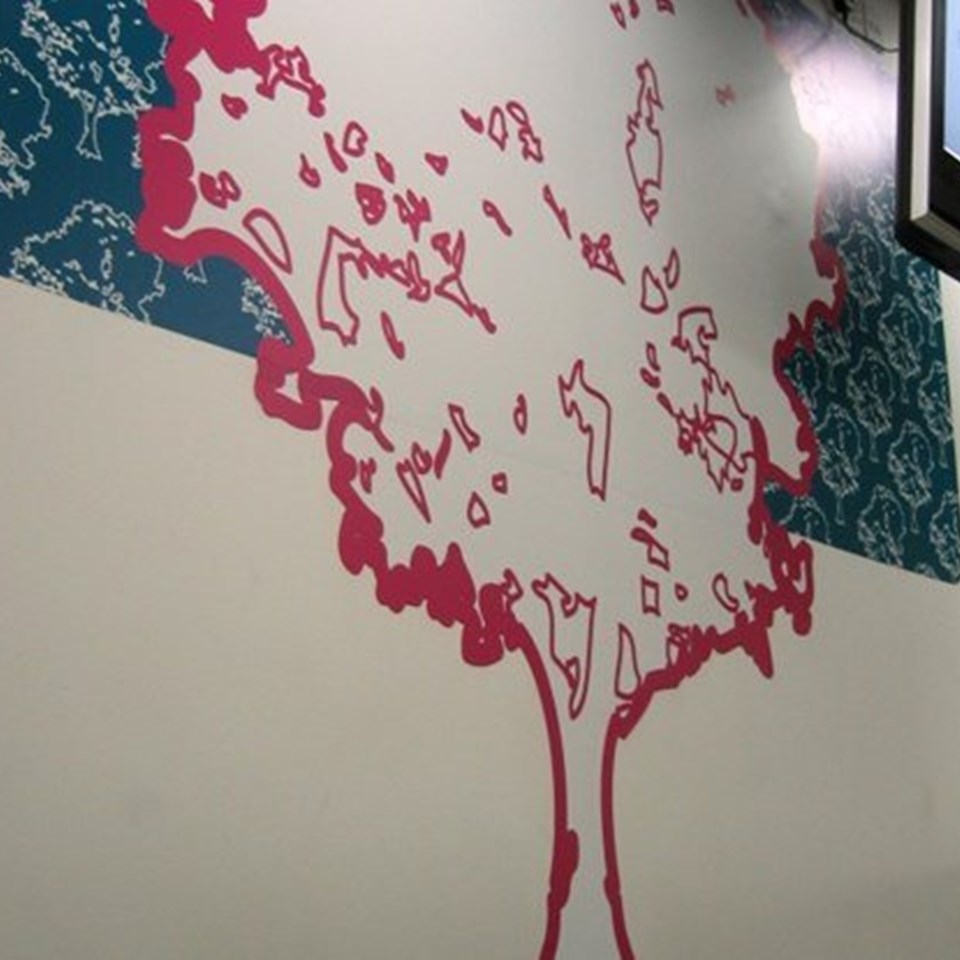 93 537 Decorative Displays Installed Directly To The Walls Of Bath University