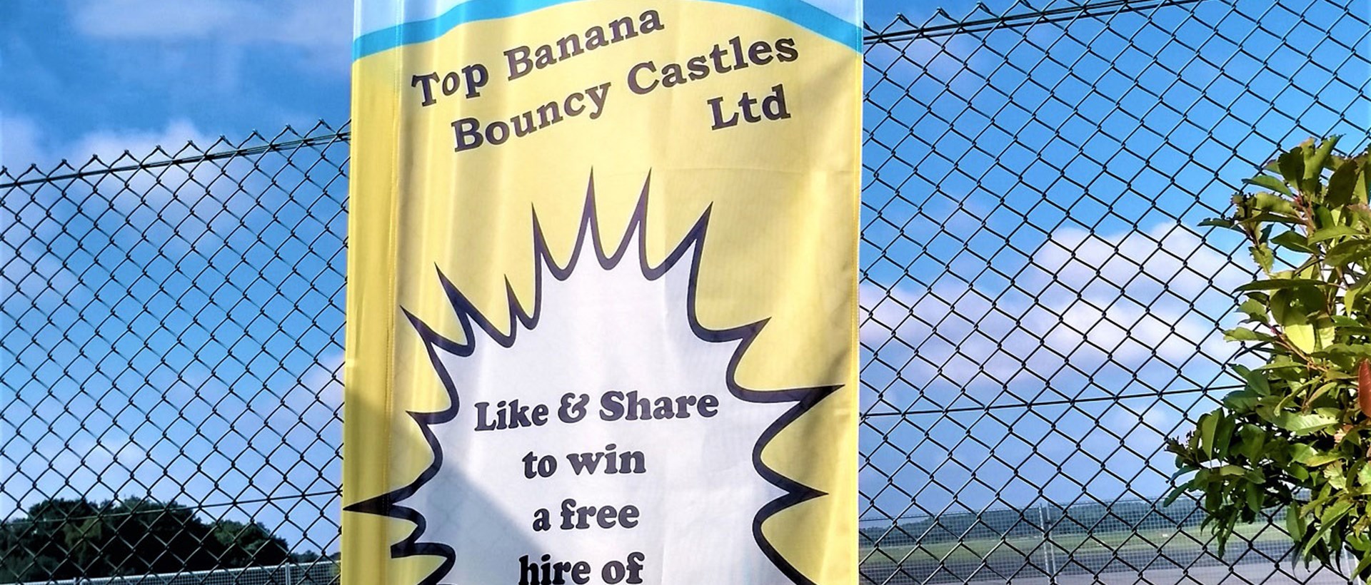 Top Banana Flag