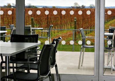 Window Manifestations