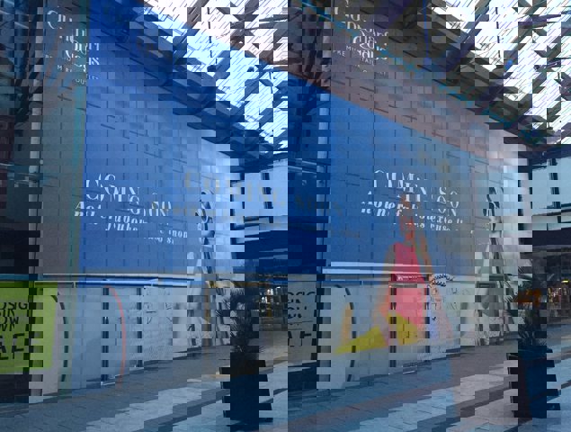 Window Film